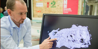 Forscher stecken T-Rex in R&ouml;ntgenger&auml;t