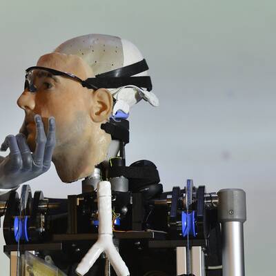 Hallo, mein Name ist Rex!