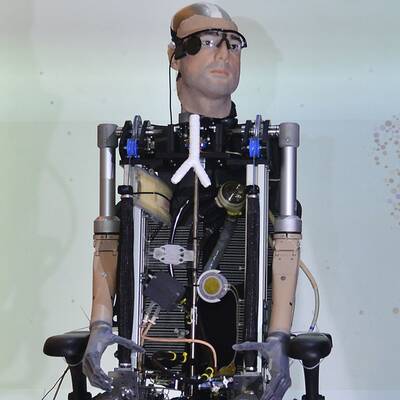 Hallo, mein Name ist Rex!