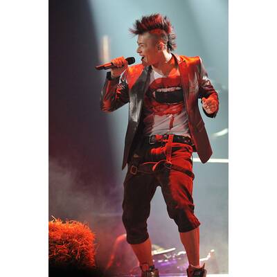 Song Contest Österreich-Wahl