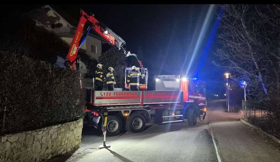 Freitag der 13.: Armes Kätzchen 