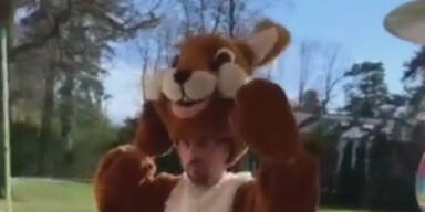 Bayern-Bunny: So hat man Ribery noch nie gesehen