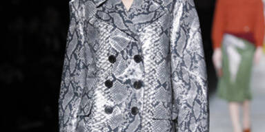 Prints: Wie man sie kombiniert