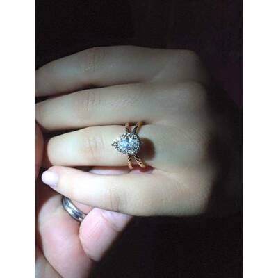 Dieser Antrag fiel ins Wasser