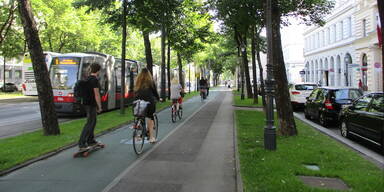 Gr&uuml;ne und SP&Ouml; streiten um Zukunftspl&auml;ne f&uuml;r den Ring