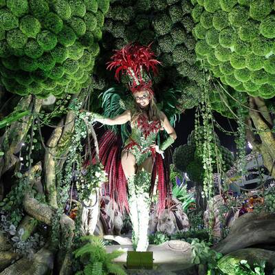 Karneval 2014: So heiß feiert Rio