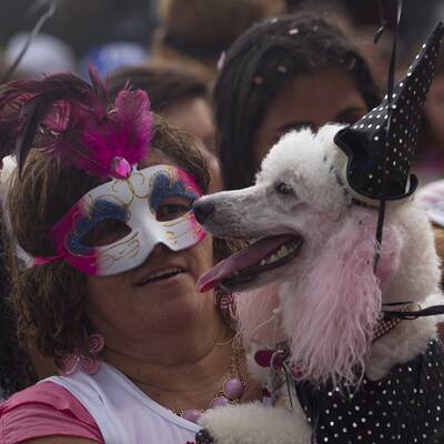 Karneval der Tiere in Rio