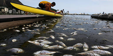 Olympia: Gruselfund im Segel-Revier
