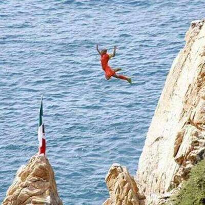 So spottet das Internet über Robben