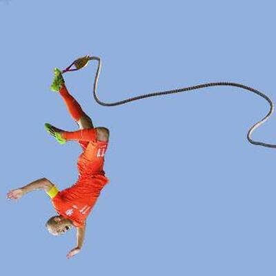 So spottet das Internet über Robben