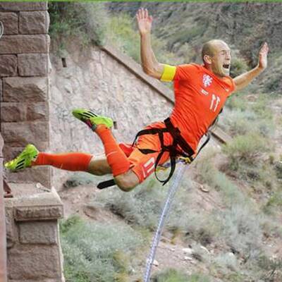 So spottet das Internet über Robben