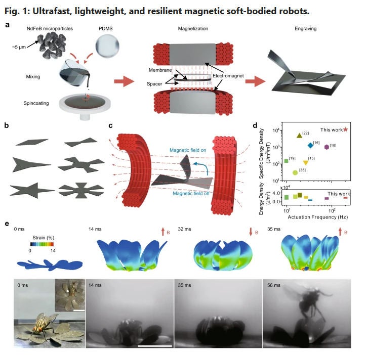 Schwebende Mini-Roboter fangen Fliegen