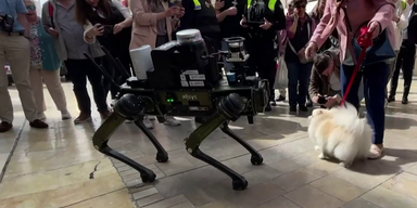 robodog.png
