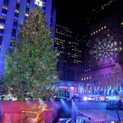 Die verrücktesten Christbäume der Welt