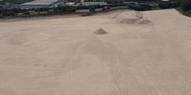 19 Hektar Wald wurden gerodet.