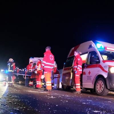 Der 24-jährige Lenker kam von der Straße ab und überschlug sich.