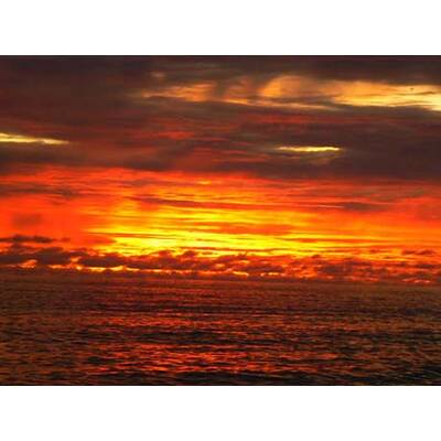 Die romantischsten Fotos