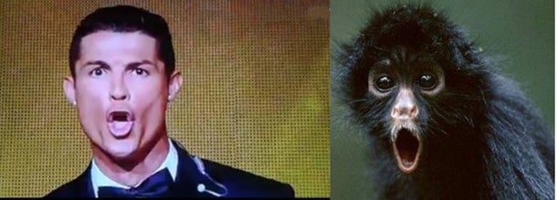 So spottet Internet über Ronaldo