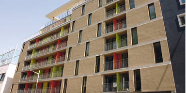 Das neue Zuhause auf Zeit