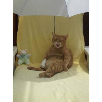 Alle lustigen Urlaubsfotos