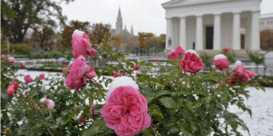 Neuschnee: Stromausfall und Crashs