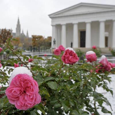 So verschneit ist Österreich: Wien-Umgebung