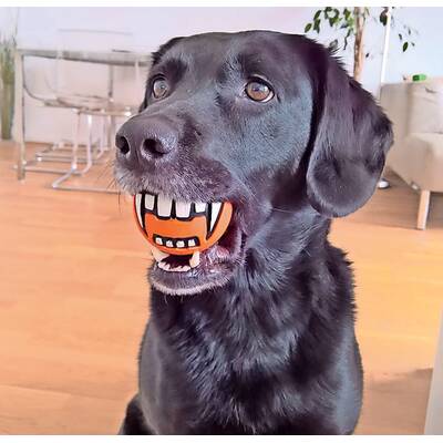 Die besten Halloween-Kostüme der oe24-Leser