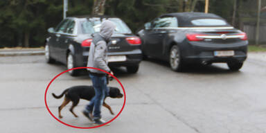 Rottweiler biss zwei Kinder im Innviertel