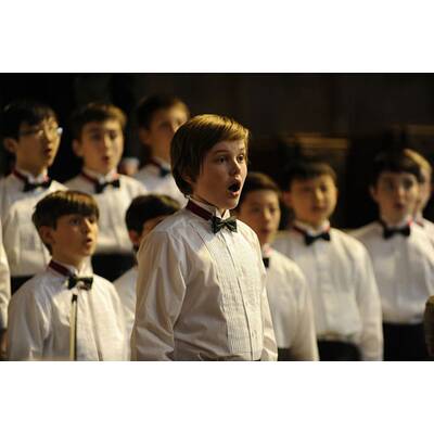 Der Chor - Stimmen des Herzens