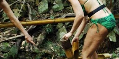 Im Dschungel heißt es ab jetzt: Ösis gegen Piefke!