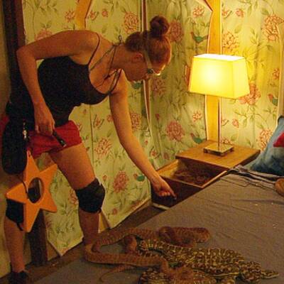 Tag acht im Dschungelcamp: Alle Biler