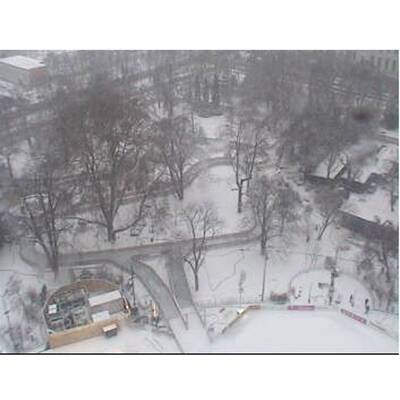 Schnee in Wien
