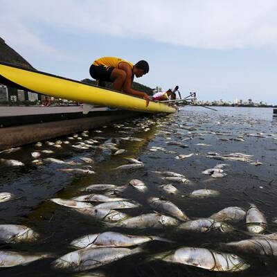 Drecklacke im olympischen Ruderrevier
