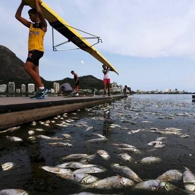 Drecklacke im olympischen Ruderrevier