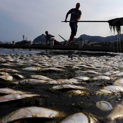 Drecklacke im olympischen Ruderrevier