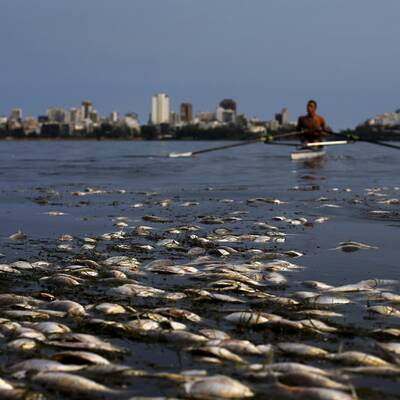 Drecklacke im olympischen Ruderrevier
