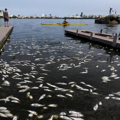 Drecklacke im olympischen Ruderrevier