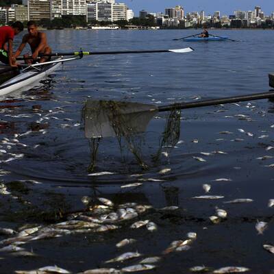 Drecklacke im olympischen Ruderrevier