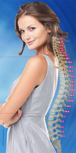 Der Rücken als Gesundheitszentrale