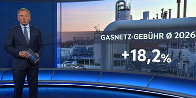 "Druck aus&uuml;ben": E-Control-Vorstand von Wolf in der ZiB gegrillt