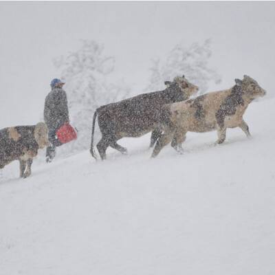 Wintereinbruch in Vorarlberg