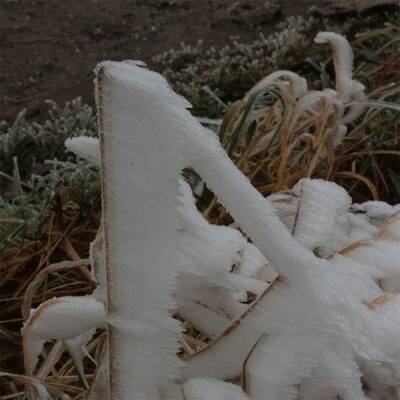 Waidhofen an der Thaya, NÖ