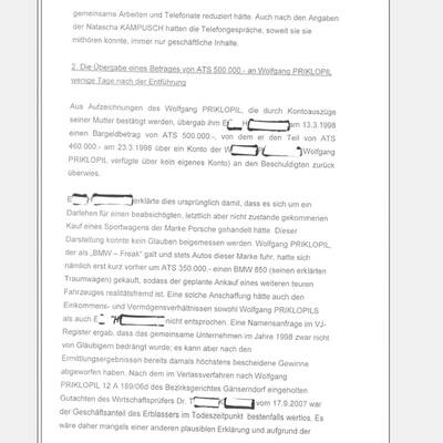 Fall Kampusch: Der Bericht von LStA Mühlbacher an das BMJ