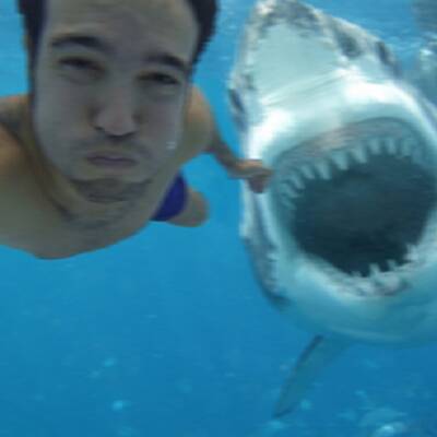 Die gefährlichsten Selfies