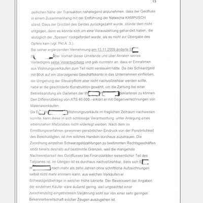 Fall Kampusch: Der Bericht von LStA Mühlbacher an das BMJ