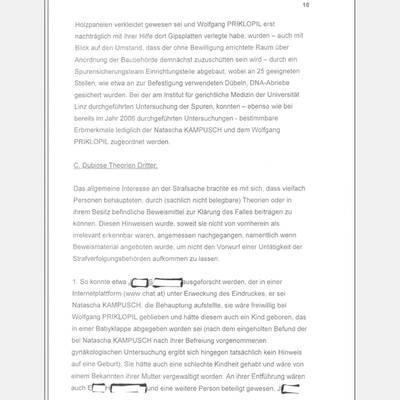 Fall Kampusch: Der Bericht von LStA Mühlbacher an das BMJ