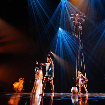 Corteo - Die besten Bilder