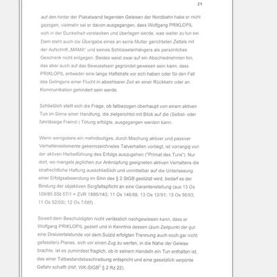 Fall Kampusch: Der Bericht von LStA Mühlbacher an das BMJ