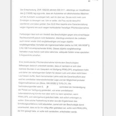 Fall Kampusch: Der Bericht von LStA Mühlbacher an das BMJ