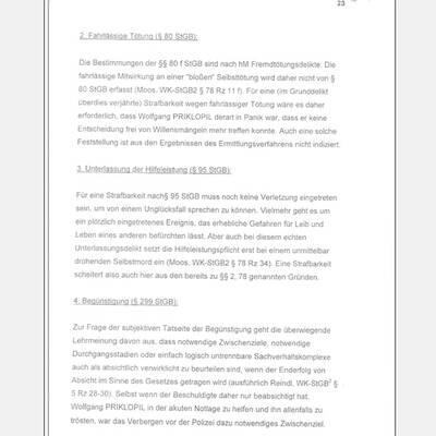 Fall Kampusch: Der Bericht von LStA Mühlbacher an das BMJ